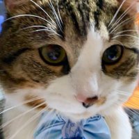Joseph๐Maggie๐โ๐ฆบ and family (@angie390460) 's Twitter Profile Photo Joseph๐Maggie๐โ๐ฆบ and family (@angie390460) 's Twitter Profile Photo