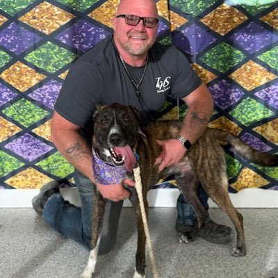 lilbohmer's profile picture. #jesuslover #MAGA #TRUMP #selfemployed #husband #dadof4boys ❤️ #basketballdad #transportion #investor #showmethemoney