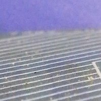 Tribuno (@m08145806) 's Twitter Profile