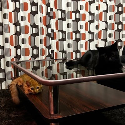 VpMD4zVOo623242's profile picture. 