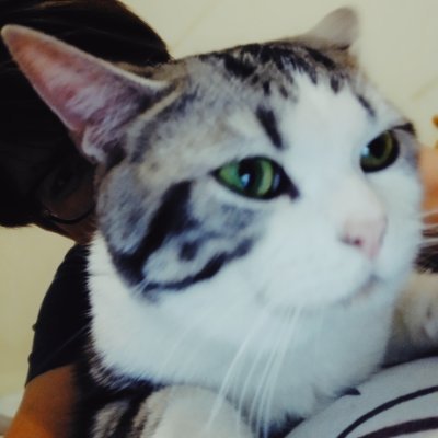 TvWoo's profile picture. #AIGC #ViberCoding #AI探索者 #Midjourney 
Photography ｜ Product Manager ｜ Illustration Lover ｜