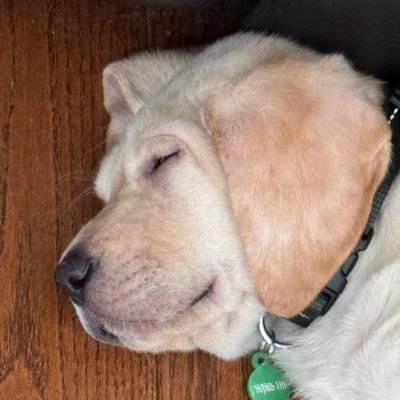 whataburger247's profile picture. 