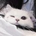 🤍 (@richardc12429) Twitter profile photo 🤍 (@richardc12429) Twitter profile photo