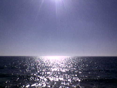 shlsa's profile picture. Jazzzzzzzzzzzzzz............