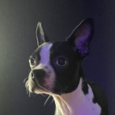 EBisket89341's profile picture. 