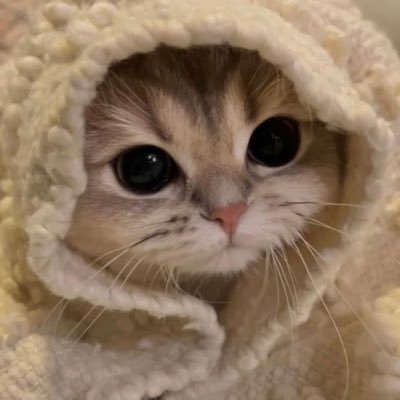 xcelqnx's profile picture. 