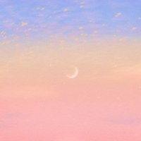 コ ヒ ☕︎ (@chicoguru) 's Twitter Profile Photo コ ヒ ☕︎ (@chicoguru) 's Twitter Profile Photo