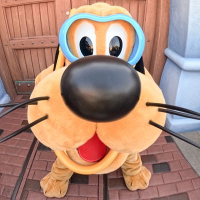 yuppysora's profile picture. 93line/プルヲタ/共通・HKDL年パ/NikonD750/SONYα77/ベーチェット病/NS /間違えられるのですが♀です笑