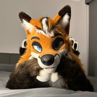 Charmis 🔜 Cons (@charmis_fox) 's Twitter Profile Photo Charmis 🔜 Cons (@charmis_fox) 's Twitter Profile Photo