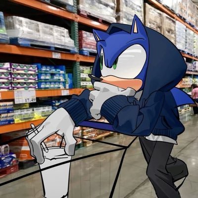 Sonic_Manz's profile picture. funny sometimes ||🏹|| 21