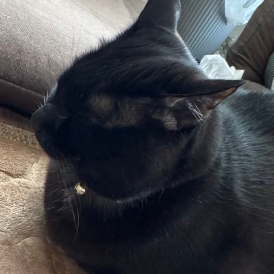 トゥルさんのプロフィール画像