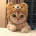 Mixxy (@mixxyfv1) Twitter profile photo Mixxy (@mixxyfv1) Twitter profile photo