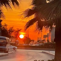 🇸🇦د.هاني بن سالم الحارثي (@alsalem2010) 's Twitter Profile
