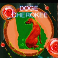 NEVER FORGET (@dogecherokee) 's Twitter Profile