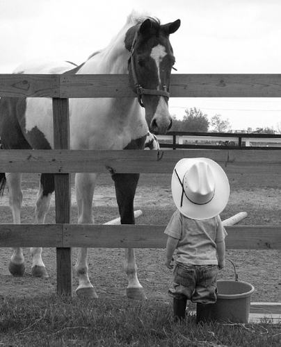 Just a kid keeping the family farming tradition going. Founder of #TractorTuesday. Always #TeamAgriculture and never forget to #ThankAFarmer