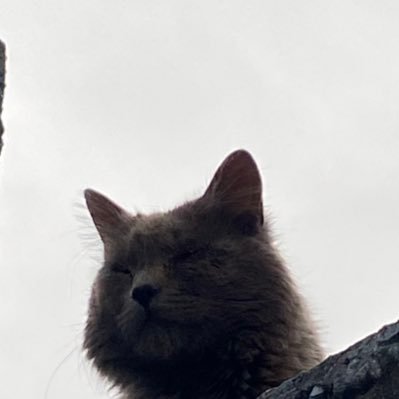 lia_gtzz's profile picture. that’s what she said