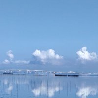 カツカレーSUNABACO (@kathukarer) Twitter profile photo