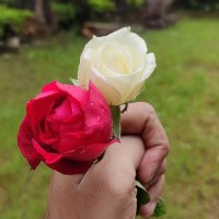 πΎππππππ β (@swapnil_mdsg) 's Twitter Profile