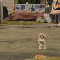 DIAKOOKY/rest (@diakooky) 's Twitter Profile