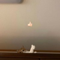 Ευτυχισμένος (@ioforpoo) 's Twitter Profile