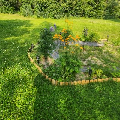 b_snoot's profile picture. North Born