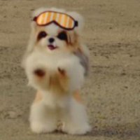 ๐rfmfm2 ๐ซจ๐ฝ๐ธโ๐ผ/ ๐๐๐๐๐ (@rfmfm13) 's Twitter Profile Photo ๐rfmfm2 ๐ซจ๐ฝ๐ธโ๐ผ/ ๐๐๐๐๐ (@rfmfm13) 's Twitter Profile Photo