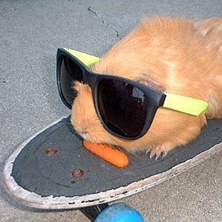 O35177's profile picture. 하는거없음 장르계아님 그림백업용