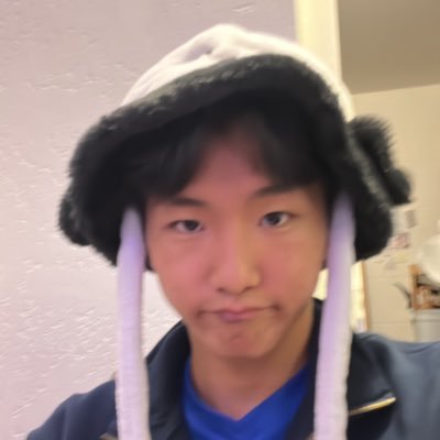 @tomzhengy