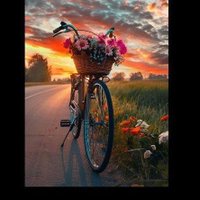 مزون العنزي (@nzy_al37516) 's Twitter Profile