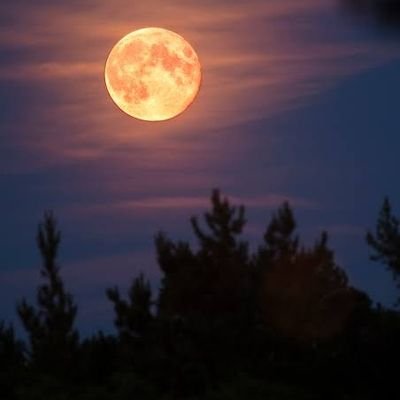 kili_kiliye's profile picture. 