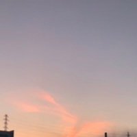 よっちゃんイカ (@yo_ta2006) 's Twitter Profile
