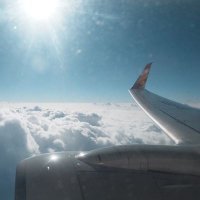 聖徒{西安} (@orientprisoner) 's Twitter Profile