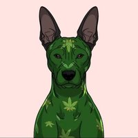 Cryptonite (@xgrowyourownnft) 's Twitter Profile