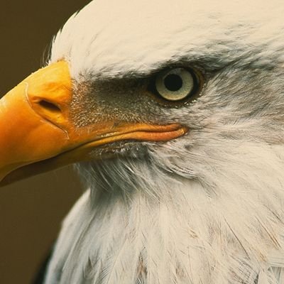 nishantsagar_15's profile picture. नैनं छिन्दन्ति शस्त्राणि नैनं दहति पावकः। न चैनं क्लेदयन्त्यापो न शोषयति मारुतः ॥

Learning Advait Vedanta from Acharya Prashant 🪔