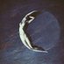 🌜Hija de la luna (@m_adelvalle) Twitter profile photo 🌜Hija de la luna (@m_adelvalle) Twitter profile photo