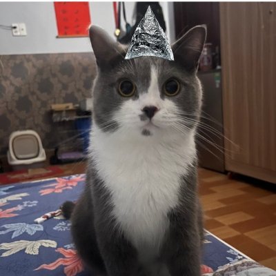 peterbean1811's profile picture. 