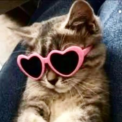 baskarbae's profile picture. Depressed yet funny🍿