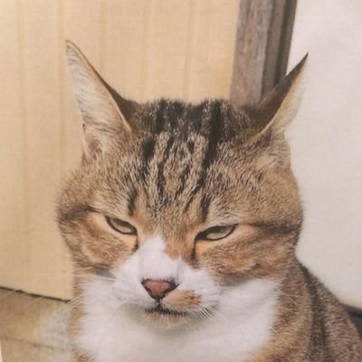 akiramegu423's profile picture. ♥ナナフシギ推し♥
ハマってる物🎶ナナフシギ🧄💸さかんちゅチャンネル👻ヤースー😤おろげ🦆怖い話👻不思議な話🤔都市伝説👁️御朱印集め📖ネコ😹昭和平成プロレス😄ももクロ🍑ツムツム😄競馬🐎横浜ベイスターズ⚾