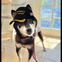 CocoroWif (@cocorowif) 's Twitter Profile