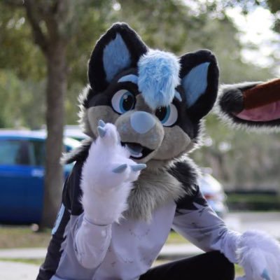 23M | Orlando, FL | The one and (so far) only hugsky ^w^ | Love hugs and cuddles :D | Studying psychology/neuroscience