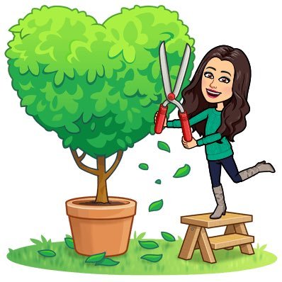 Gifted education, robotics, STEM, Makerspace, innovation, life long learner