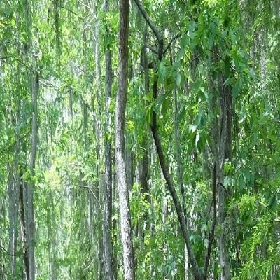 180640dg's profile picture. 