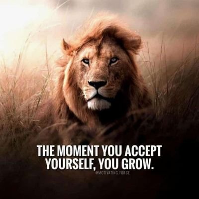 umesh_nage's profile picture. 