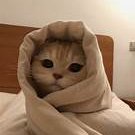 SRW Vynx (@vfxvynx) 's Twitter Profile