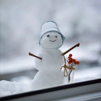 Michael🧊 (@michael509509) 's Twitter Profile