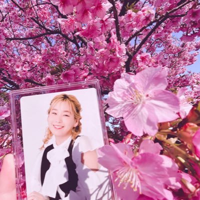 花カルロです✨A desperate artist who lives in Tokyo 🇯🇵; Love Liver since 2015; 声優 ファン「高槻かなこ推し」; Bloodye Forever💉; various anime and more! 「Ita/Eng/日本語 OK」よろしく✨