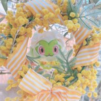 𝚘𝚜𝚊𝚢𝚊🥕🍀🐾 (@oyasai_pkmn) 's Twitter Profile