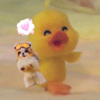 もちさんのプロフィール画像