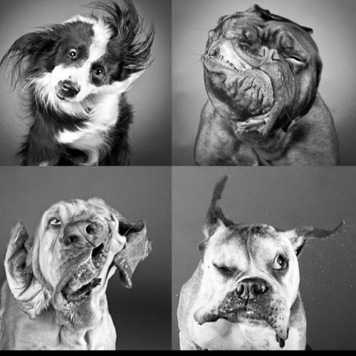 Malex_Xander's profile picture. 