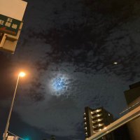 まれよき (@nijakomalal) Twitter profile photo